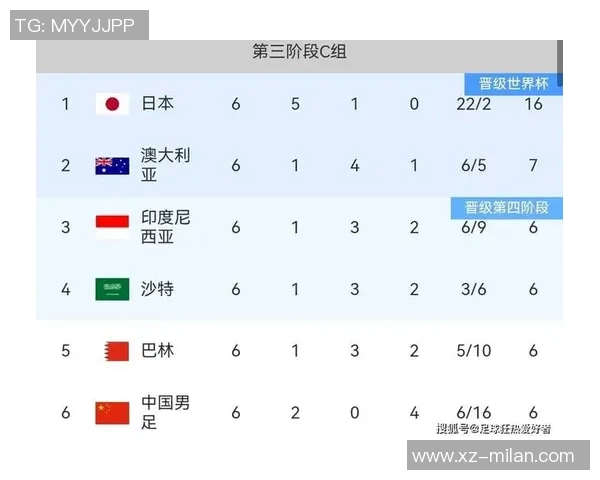 亚洲足球强队出炉八支球队直通世界杯两队争夺最后名额